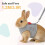 Bunny Harness and Leash Set, Soft Breathable Mesh Vest, Escape-Proof Adjustable Small Pet Harness 4