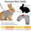 Bunny Harness and Leash Set, Soft Breathable Mesh Vest, Escape-Proof Adjustable Small Pet Harness 3