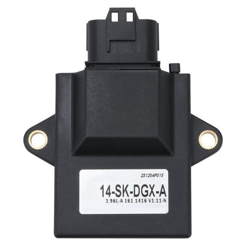 14-SK-DGX-A Motorcycle ECU Computer Controller Electronic Controller Control Unit for Motorcycle Tricycle Scooter 1