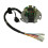 150cc Magneto Stator Rotor Flywheel for Daytona 150 190 Engine Motor 4