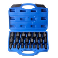 Screw Extractor Set with Box 25Pcs Hex Head Multi-Spline Bolt Chrome A