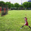 Portable Baseball Practice Net Hitting Pitching Batting Training Backs 6