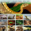 4pcs Coconut Fiber Substrate Liner for Reptiles-S 4 PCS 6