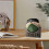Wooden Hat Holder Designed Baseball Cap Bracket Shelf Box Indoor Table 5