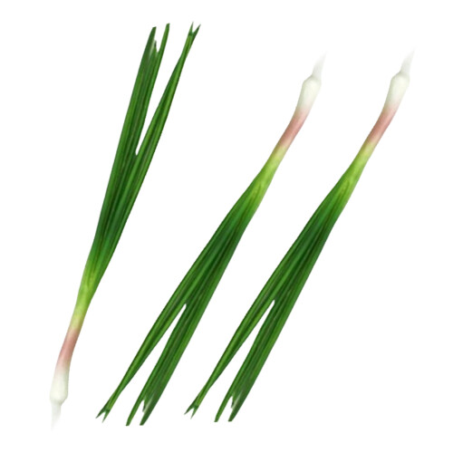 Realistic Artificial PU Scallions Vegetables for Home Party