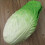 Realistic Artificial Chinese Cabbage Simulation Vegetable-Green 5
