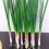 Realistic Artificial PU Scallions Vegetables for Home Party 7