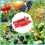 Multifunctional Thumb Picking Tool for Tea Leaves in Farm Gardens and 5