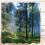 Polyester Bath Blind Set, 3D Printed Misty Pine Forest Privacy Protection Antibacterial Super Water-repellent Fabric, Unique Design Patterns Includes 1