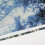 Polyester Bath Blind Set, 3D Printed Misty Pine Forest Privacy Protection Antibacterial Super Water-repellent Fabric, Unique Design Patterns Includes 5