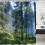 Polyester Bath Blind Set, 3D Printed Misty Pine Forest Privacy Protection Antibacterial Super Water-repellent Fabric, Unique Design Patterns Includes 3