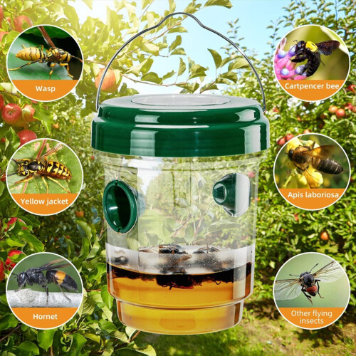 4 Pack Wasp Traps Outdoor Hanging Solar Powered Carpenter Bee for Outs 2