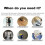 L-Shaped Multifunctional Wall Bracket Magnetic Level Accessory Wall-Mo 5