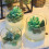Moules à bougies succulentes 3D en-Ensemble de neuf pièces 5