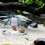Reusable Snail Trap for Effective Garden Pest Control with Easy Setup 8cm 5