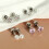 Comfort Fit Flat Back Stud Earrings Surgical Stainless Steel 5