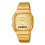 Casio Casio Unisexzegarek AQ-240EG-9AEF 1