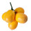 Artificial Loquat Fruit Realistic Simulation Fruits-5 forks 1