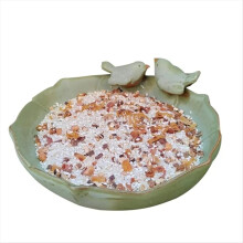 Ceramic Bird Bath Bowl Multifunctional Parrot Feeder 10 Inch Hummingbi