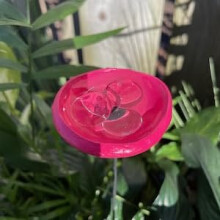Bee Watering Station and Butterfly Puddler with Poppy Flower Drinking Cups, PollinatorFriendly Pink Garden Decor