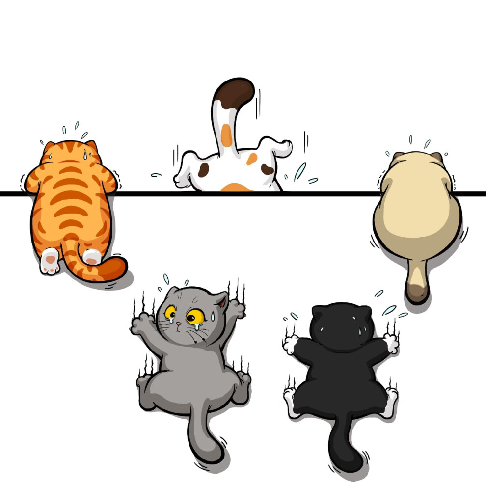 5Pcs Scratch Cat Vinyl Car Stickers Waterproof Multicolor Funny Bumper Decals For Auto Truck Helmet 9119770550682