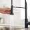 Black Kitchen Faucet with Pull Out Sprayer Single Handle Modern Commercial Sink Tap 3