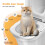 Katzentoiletten-Trainingsset, grau, ABS, 15