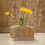 Fashionable Sturdy Vase Sturdy Silicone-Egyptian stone table 7