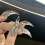 Nail Stamping Templates Dragon Claw Shape Nail Carving Mold for 4