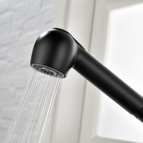 SingleHandle PullOut Kitchen Faucet with Sprayer Matte Black Stainless Steel Chrome 1