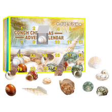 Calendario de Adviento de Cristal 2024, Colección de Conchas Naturales, Juguete Educativo de Diseño Creativo, Seguro para Niños, Base