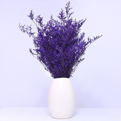 Διακόσμηση από ψηλό γρασίδι Pampas, Boho Chic αφράτη σύνθεση από αποξηραμένα λουλούδια