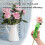 Outil ergonomique de décapage de feuilles d'épine de Rose-Jaune 3