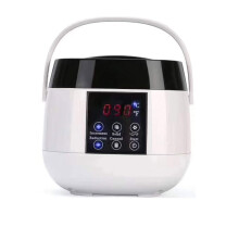 Wax Heater with LED Display, 500ml Nonstick Pot, Adjustable Temperature Wax Warmer for Hair Removal