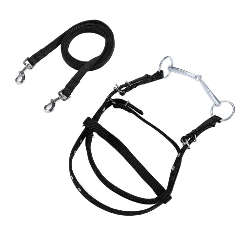 Pferdezaumzeug, Nylon, stilvoll, verstellbar, 2