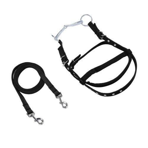 Pferdezaumzeug, Nylon, stilvoll, verstellbar, 1