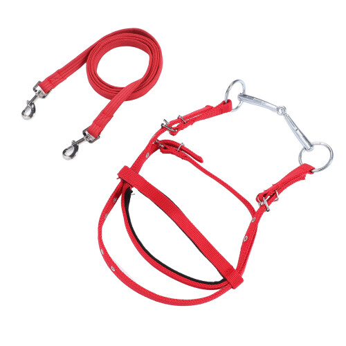 Pferdezaumzeug, Nylon, stilvoll, verstellbar, 2