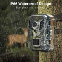 Caméra de chasse - MIOLOE - DL006 - 16 MP - 1080p - Vision nocturne IP66