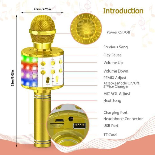 Microphone karaoké sans fil, enregistreur USB, microphone Bluetooth multifonction - Or 1