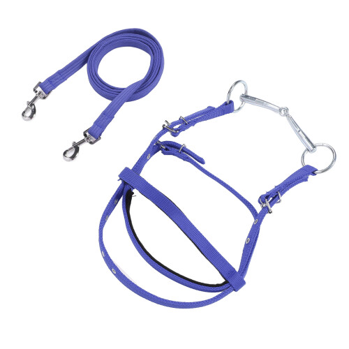 Pferdezaumzeug, Nylon, stilvoll, verstellbar, 2