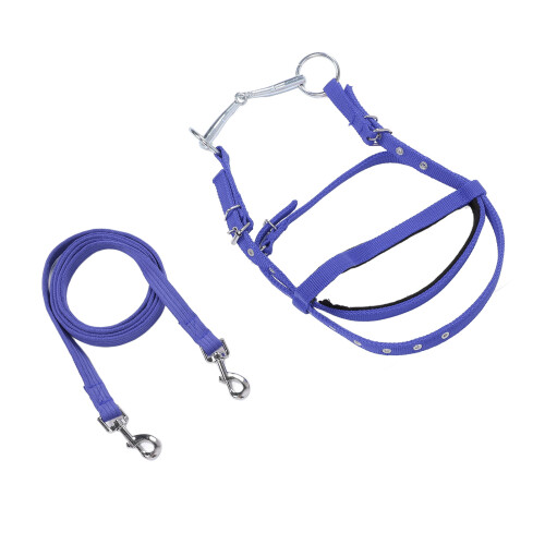 Pferdezaumzeug, Nylon, stilvoll, verstellbar, 1