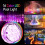 Ensemble de 4 lampes LED submersibles, étanches, avec télécommande et changement de couleur 4