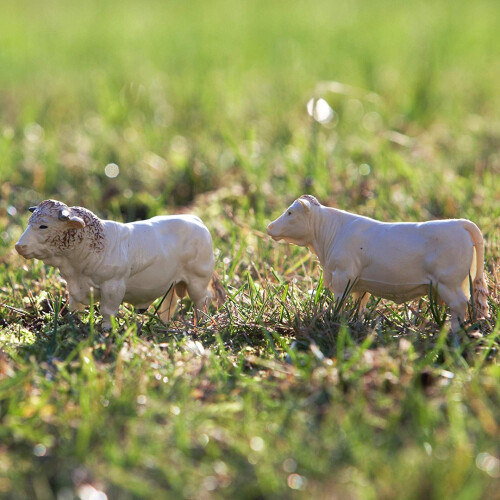 Britains Britains Simmenta/Charolais Cows 2