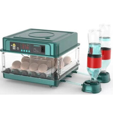 Incubateur automatique pour 24 œufs - C50