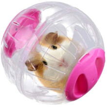 Ballon d'exercice - Modèle non spécifié - Hamster - Rose - Plastique - 12 cm