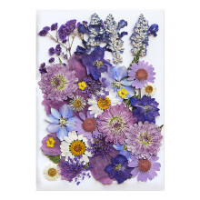 Decoratie van de geperste bloemencollectie Unieke-Zi Wushu