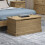 Corona Storage Trunk 5