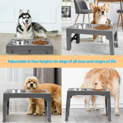 Double bol surélevé pour animaux de compagnie, réglable,-Blanc 1