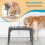 Double bol surélevé pour animaux de compagnie, réglable,-Blanc 3