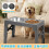 Double bol surélevé pour animaux de compagnie, réglable,-Blanc 4